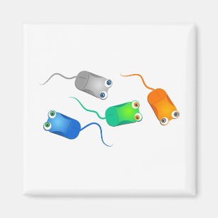 Computer-Mäuse Magnet