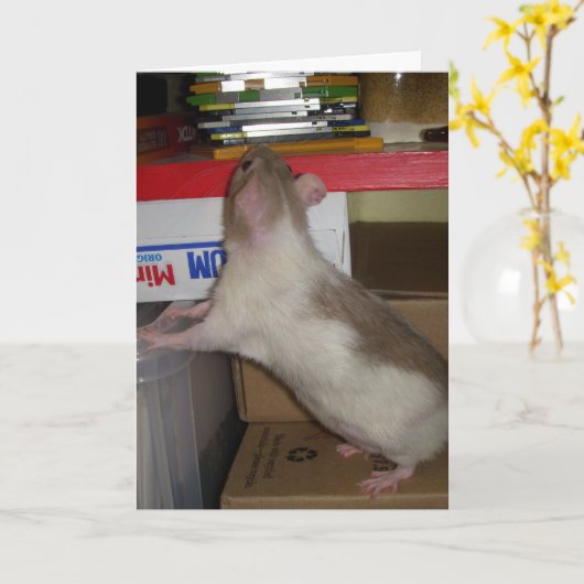 Computer-Ratte Karte (Gelbe Blume)