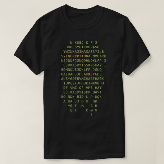 Computer Scientist Hacker Encryption ist das Schlü T-Shirt (Design vorne)