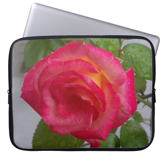 Computerhülse mit einem Foto einer Rose Laptopschutzhülle (Vorderseite)