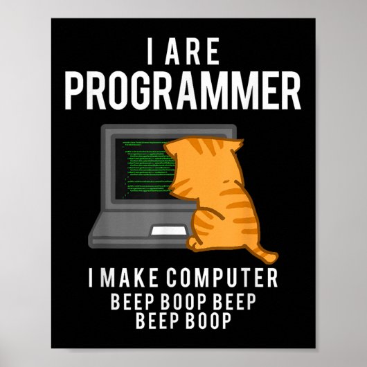 Computerkatzenprogrammierer Funny Coder Meme Poster (Vorne)