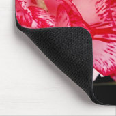 Computermousepad mit roter und weißer Narbenkarnat Mousepad (Ecke)