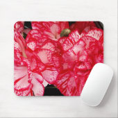 Computermousepad mit roter und weißer Narbenkarnat Mousepad (Mit Mouse)