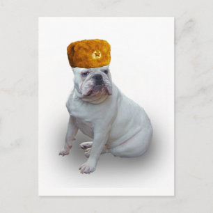 Comrad Bulldog Postkarte