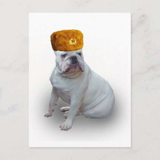 Comrad Bulldog Postkarte (Vorderseite)