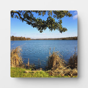 Comus Lake, Delavan, Wisconsin Fotoplatte