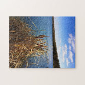 Comus Lake, Delavan, Wisconsin Puzzle (Horizontal)