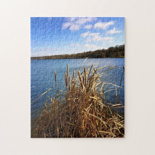Comus Lake, Delavan, Wisconsin Puzzle (Vertikal)