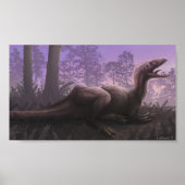 Concavenir Print Poster (Vorne)