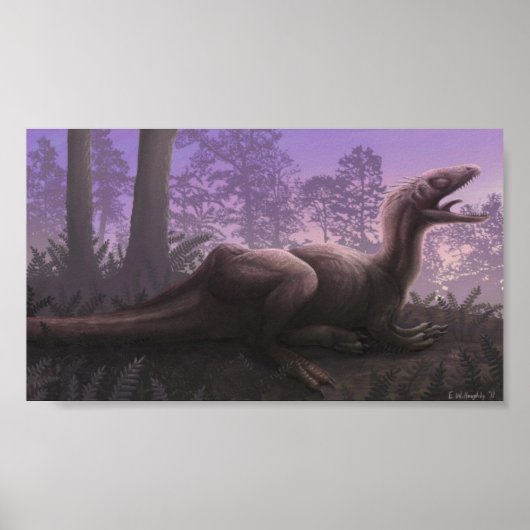 Concavenir Print Poster (Vorne)