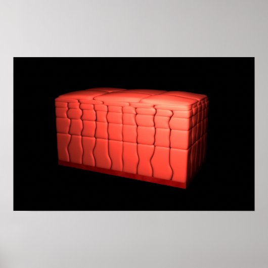 Concept Of Stratified Squamous Epithelium 1 Poster (Vorne)