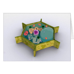 Conceptual Image of a Pflanze Cell