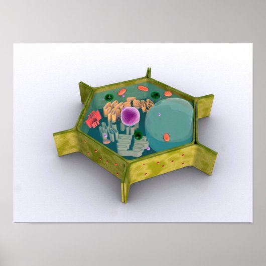 Conceptual Image of a Pflanze Cell Poster (Vorne)
