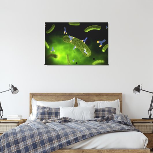 Conceptual Image of Antibody Killing Bacteria Leinwanddruck (Insitu (Schlafzimmer))