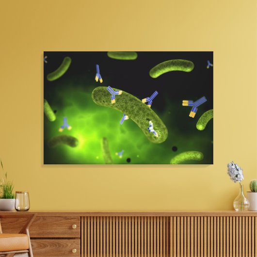 Conceptual Image of Antibody Killing Bacteria Leinwanddruck (Insitu (Wohnzimmer))