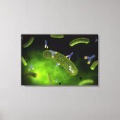 Conceptual Image of Antibody Killing Bacteria Leinwanddruck (Vorderseite)