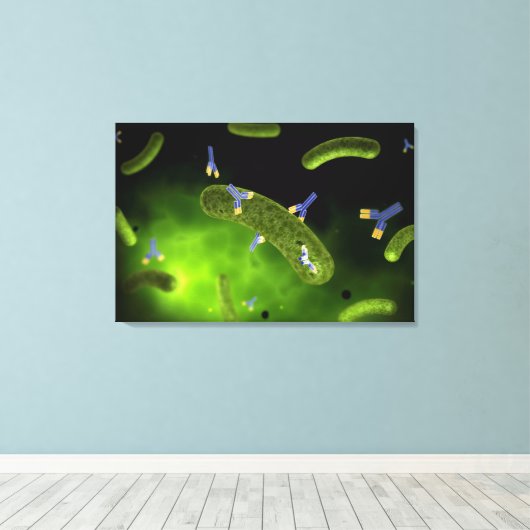 Conceptual Image of Antibody Killing Bacteria Leinwanddruck (Insitu (Holzboden))