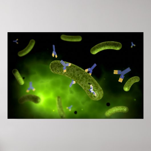 Conceptual Image of Antibody Killing Bacteria Poster (Vorne)