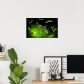 Conceptual Image of Antibody Killing Bacteria Poster (Heimbüro)