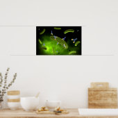 Conceptual Image of Antibody Killing Bacteria Poster (Küche)