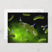 Conceptual Image of Antibody Killing Bacteria Postkarte (Vorne/Hinten)
