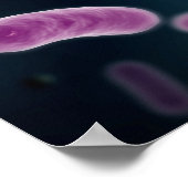Conceptual Image of Bacteria 3 Poster (Ecke)