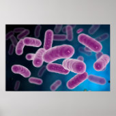 Conceptual Image of Bacteria 3 Poster (Vorne)