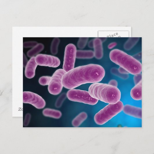Conceptual Image of Bacteria 3 Postkarte (Vorne/Hinten)