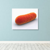 Conceptual Image of Bacteria 4 Leinwanddruck (Insitu (Holzboden))
