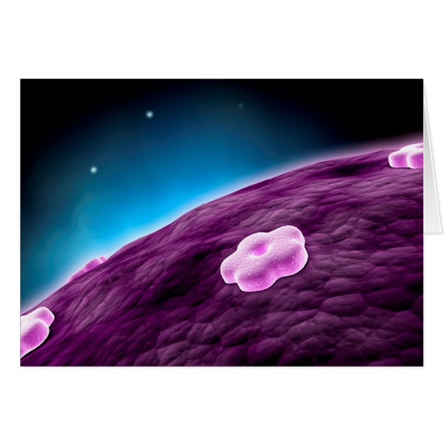 Conceptual Image of Cell Nucleus (Vorderseite (Horizontal))