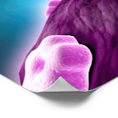 Conceptual Image of Cell Nucleus Poster (Ecke)