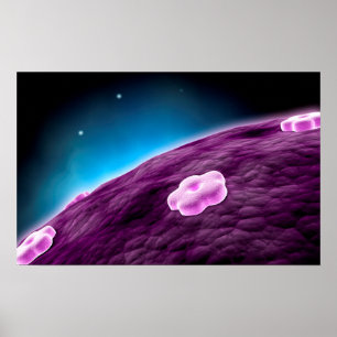 Conceptual Image of Cell Nucleus Poster