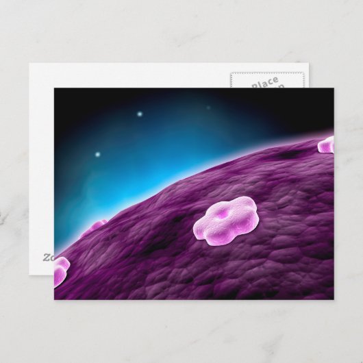 Conceptual Image of Cell Nucleus Postkarte (Vorne/Hinten)