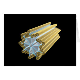 Conceptual Image of Centriole