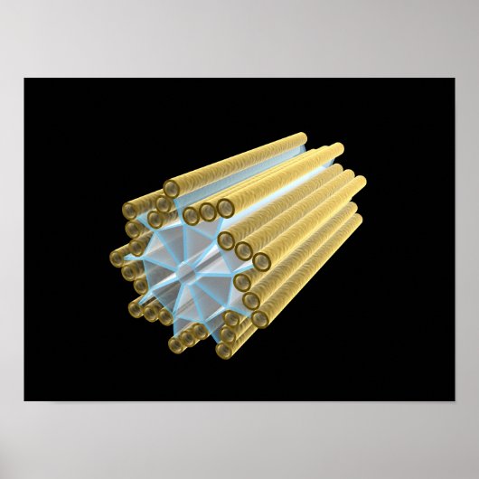 Conceptual Image of Centriole Poster (Vorne)