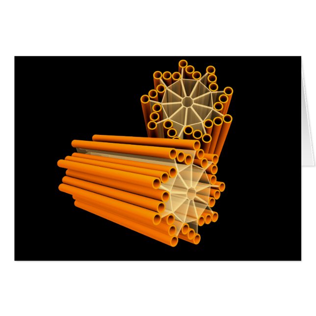 Conceptual Image of Centrioles 1 (Vorderseite (Horizontal))