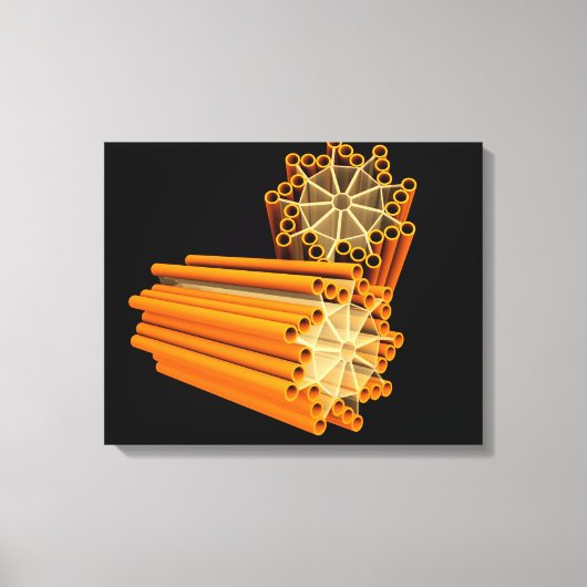 Conceptual Image of Centrioles 1 Leinwanddruck (Vorderseite)