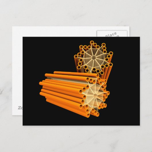 Conceptual Image of Centrioles 1 Postkarte (Vorne/Hinten)
