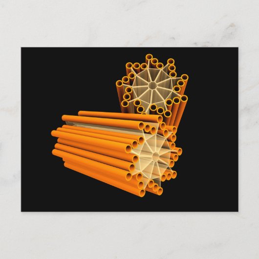 Conceptual Image of Centrioles 1 Postkarte (Vorderseite)
