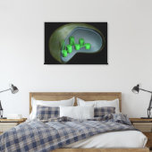Conceptual Image of Chloroplast 1 Leinwanddruck (Insitu (Schlafzimmer))