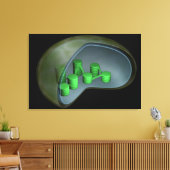 Conceptual Image of Chloroplast 1 Leinwanddruck (Insitu (Wohnzimmer))