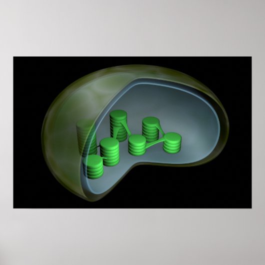 Conceptual Image of Chloroplast 1 Poster (Vorne)