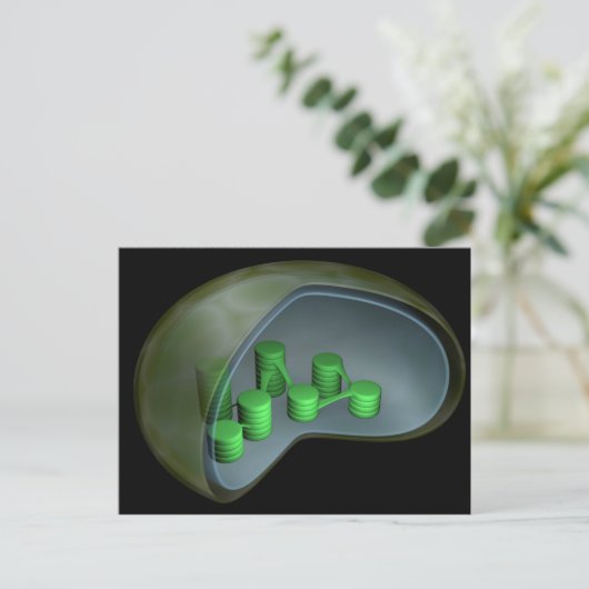 Conceptual Image of Chloroplast 1 Postkarte (Stehend Vorderseite)