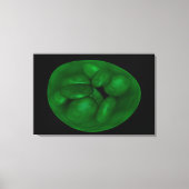 Conceptual Image of Chloroplast 2 Leinwanddruck (Vorderseite)