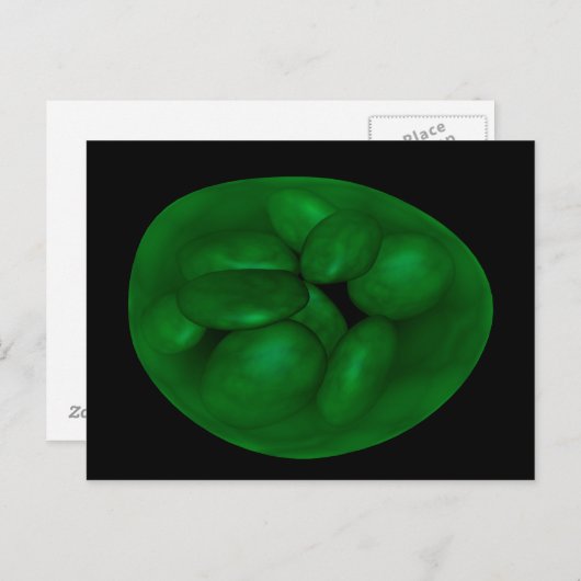 Conceptual Image of Chloroplast 2 Postkarte (Vorne/Hinten)