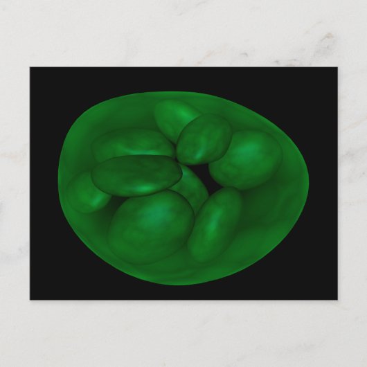Conceptual Image of Chloroplast 2 Postkarte (Vorderseite)