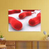 Conceptual Image of Cholerae Bacteria Leinwanddruck (Insitu (Wohnzimmer))