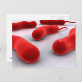 Conceptual Image of Cholerae Bacteria Postkarte (Vorne/Hinten)
