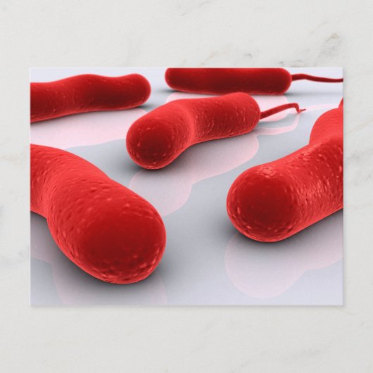 Conceptual Image of Cholerae Bacteria Postkarte (Vorderseite)