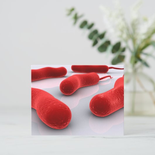 Conceptual Image of Cholerae Bacteria Postkarte (Stehend Vorderseite)